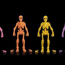 Mythic Legions Graveyard Skeletons Blind Boxes figure