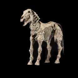 Mythic Legions Skeleton Steed Legion Builder figure