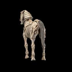 Mythic Legions Skeleton Steed Legion Builder figure