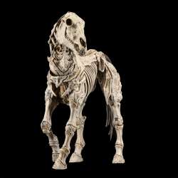 Mythic Legions Skeleton Steed Legion Builder figure