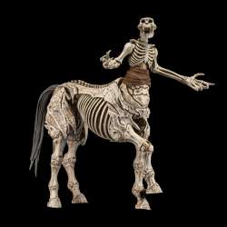 Mythic Legions Skeleton Soldiers Add-On Set figure