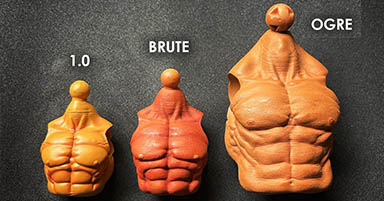 Frequently Asked Questions: “What is Brute Scale?”